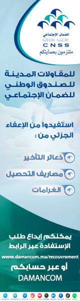 CNSS 160×600