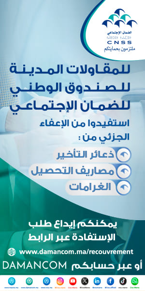 CNSS 300×600